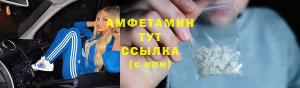 дмт Алексин