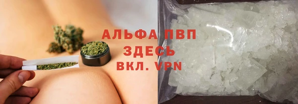 тгк Алзамай