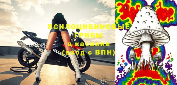 тгк Алзамай