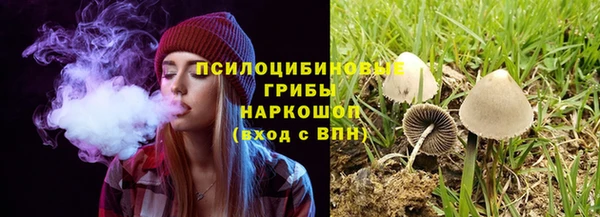 тгк Алзамай
