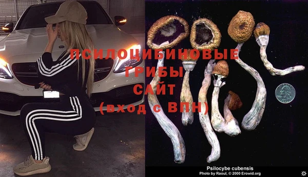 дурь Алексеевка